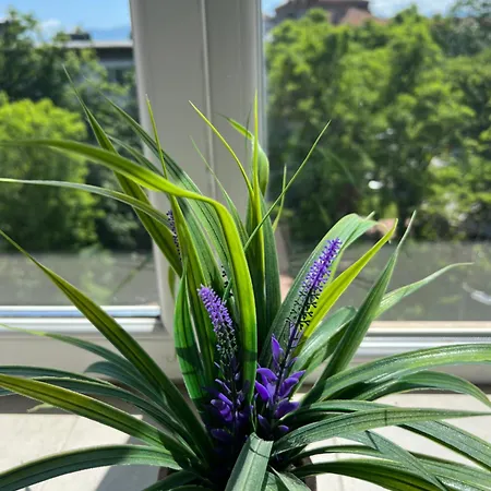 Апартамент Bodega I *